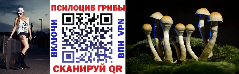 купить наркотик  MEGA ONION  Псилоцибиновые грибы прущие грибы  Звенигород 