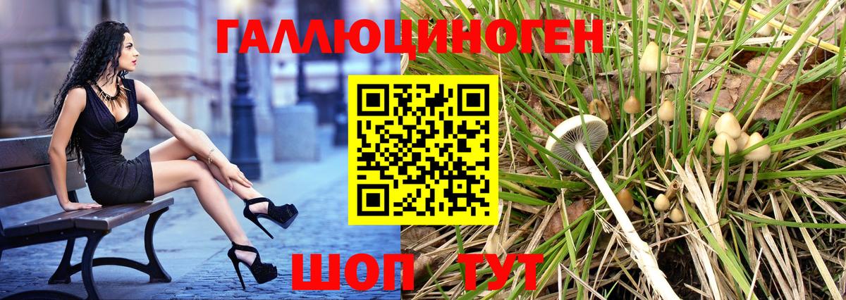 Звенигород  Галлюциногенные грибы Cubensis  закладки  Вход с VPN 