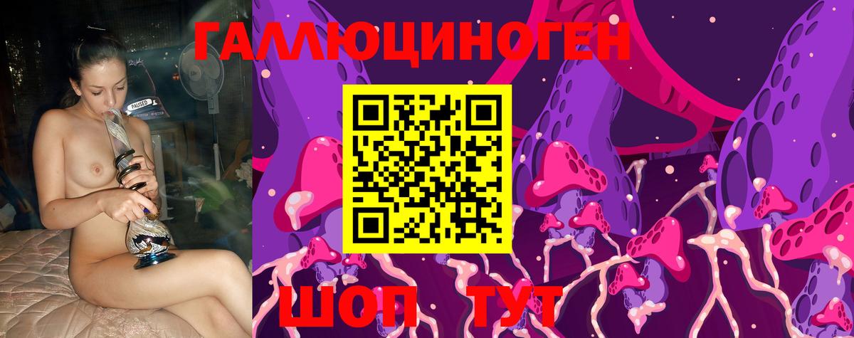 Псилоцибиновые грибы мицелий  Звенигород 